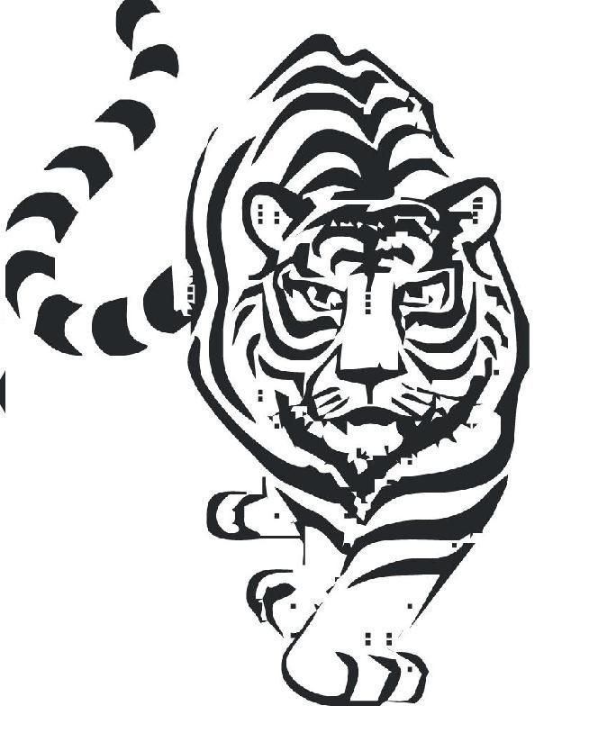 tigre 3 tigre 3